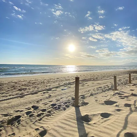 Charming In Alicate Playa *