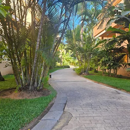 Charming In Alicate Playa Apartment *